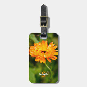 Oranger Tagetes-Gepäckanhänger Gepäckanhänger
