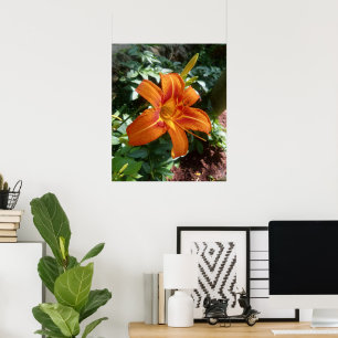 Oranger Taglilien-Blumenfoto-Druck Poster