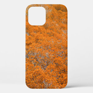 Oranger Waldblick. Oranger Blatt Hintergrund. Herb Case-Mate iPhone Hülle