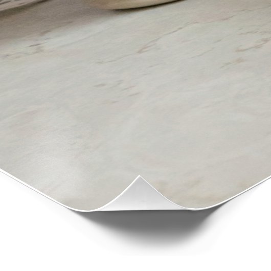 Orangerbera und Bücherposter Poster (Ecke)