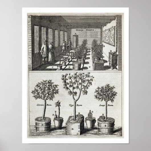 Orangerie von "De Nederlandze Hesperides" von Jan Poster (Vorne)