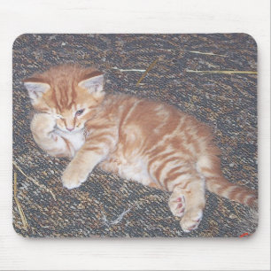 Oranges getigertes Kätzchen Mousepad