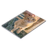 Oranges Katzen Notizbuch Notizblock (Linke Seite)