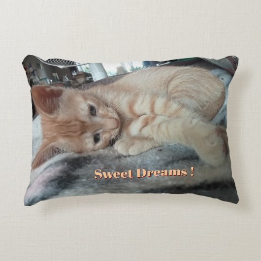 Oranges Kitten , Lustiger Text , Foto anpassbar Dekokissen (Vorderseite)