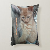 Oranges Kitten , Lustiger Text , Foto anpassbar Dekokissen (Vorderseite(Vertikal))