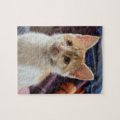 Oranges Kitten Puzzle (Horizontal)