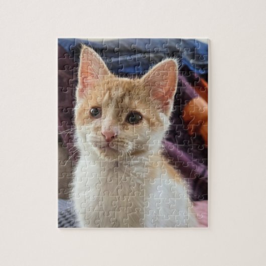 Oranges Kitten Puzzle (Vertikal)