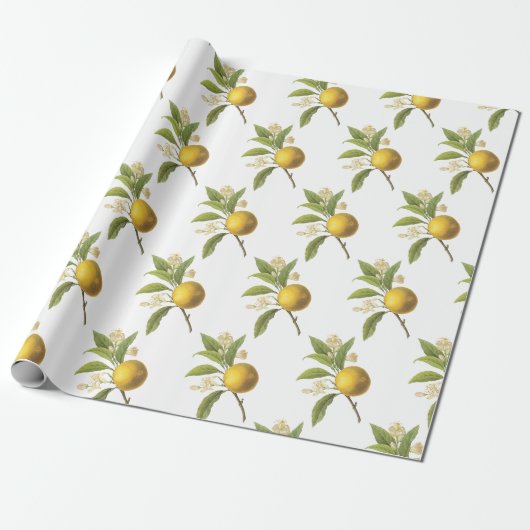 Oranges Muster Geschenkpapier (Ungerollt)