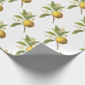 Oranges Muster Geschenkpapier (Ecke)
