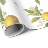 Oranges Muster Geschenkpapier (Rolleneckpunkt)