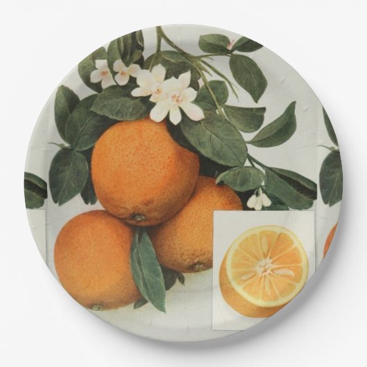 ORANGES Pappteller (Vorderseite)