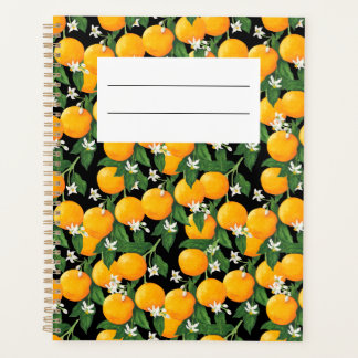 Oranges Planer