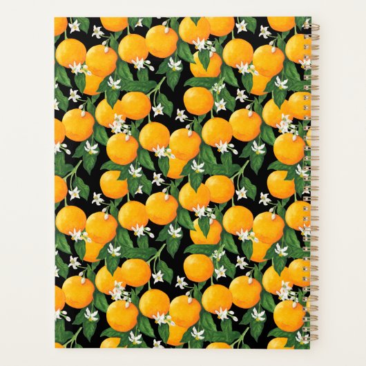 Oranges Planer (Rückseite)