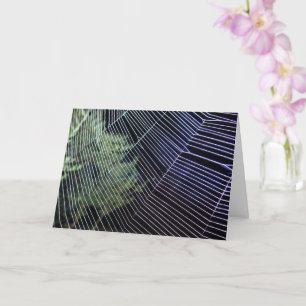 Oranges Radnetz Spinngewebe Karte