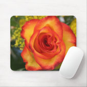 Orangespitze Rose Mousepad (Mit Mouse)