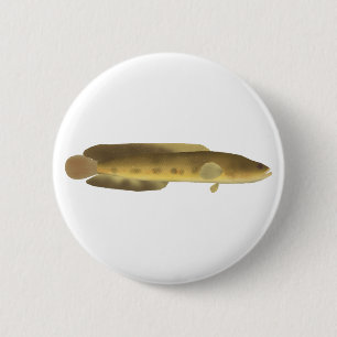 Orangespotted Schlangenkopf Button
