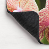 Orangide Orchideenhybride, Südafrika Mousepad (Ecke)