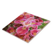 Orangrosa Iris Fliese (Seite)