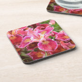 Orangrosa Iris Getränkeuntersetzer (Linke Seite)