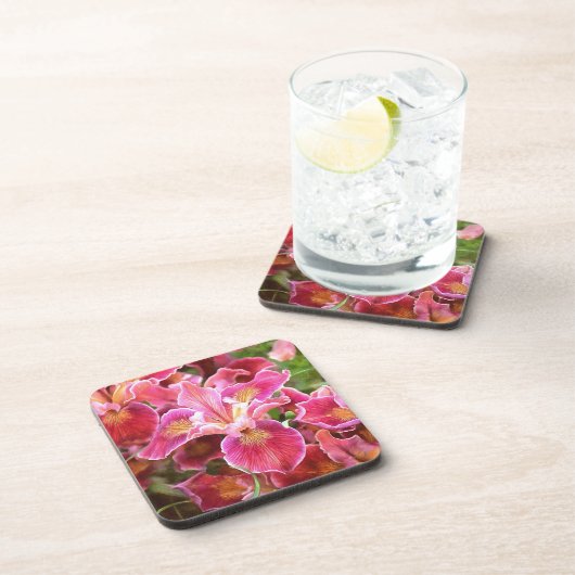 Orangrosa Iris Getränkeuntersetzer (Rechte Seite)