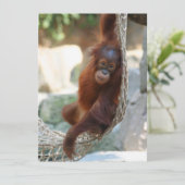 OrangUtan 001 Feiertagskarte (Stehend Vorderseite)
