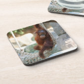 OrangUtan 001 Getränkeuntersetzer (Linke Seite)