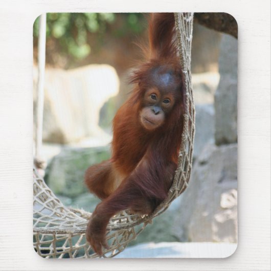 OrangUtan 001 Mousepad (Vorne)