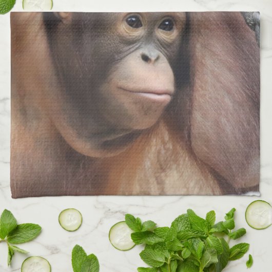 OrangUtan 002 Geschirrtuch (Gefaltet)