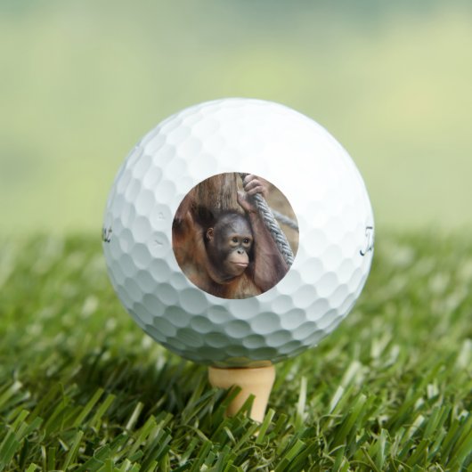 OrangUtan 002 Golfball (Insitu T-Shirt)