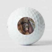 OrangUtan 002 Golfball (Vorderseite)