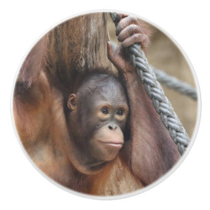 OrangUtan 002 Keramikknauf