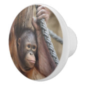 OrangUtan 002 Keramikknauf (Rechts)
