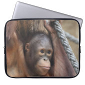 OrangUtan 002 Laptopschutzhülle (Vorderseite)