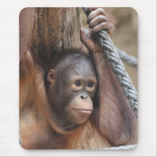 OrangUtan 002 Mousepad
