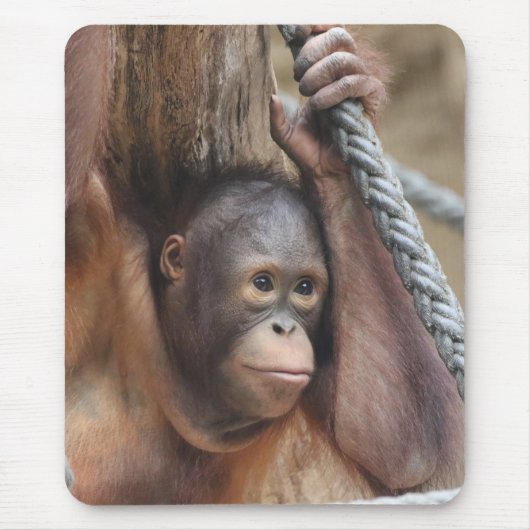 OrangUtan 002 Mousepad (Vorne)