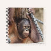 OrangUtan 002 Notizblock (Vorderseite)