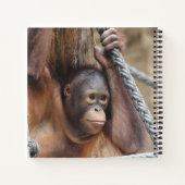 OrangUtan 002 Notizblock (Rückseite)