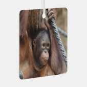 OrangUtan 002 Ornament Aus Metall (Vorderseite Rechts)