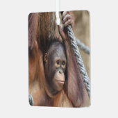 OrangUtan 002 Ornament Aus Metall (Vorderseite links)