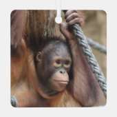 OrangUtan 002 Ornament Aus Metall (Rückseite)