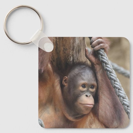 OrangUtan 002 Schlüsselanhänger (Vorderseite)