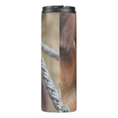 OrangUtan 002 Thermosbecher (Rückseite)