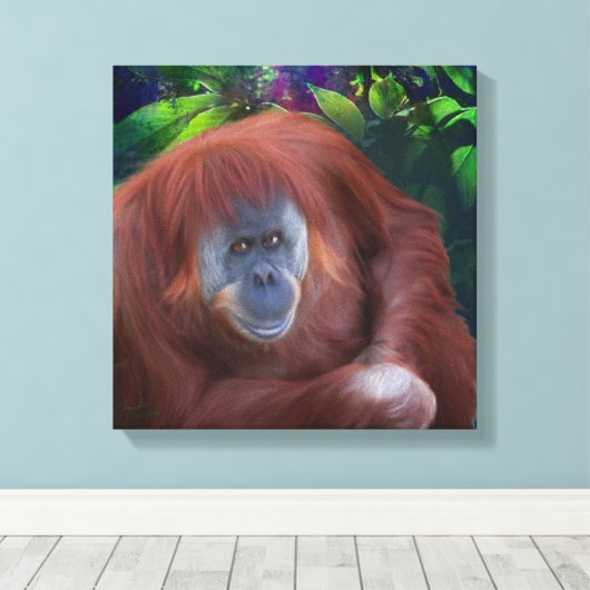Orangutan 14x14 Strangierte Leinwand (Insitu (Holzboden))