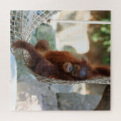 OrangUtan 2020-03-01 Puzzle (Horizontal)