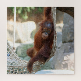 OrangUtan 2020-03-01 Puzzle