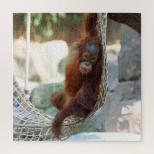 OrangUtan 2020-03-01 Puzzle