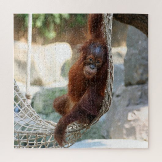 OrangUtan 2020-03-01 Puzzle (Vertikal)