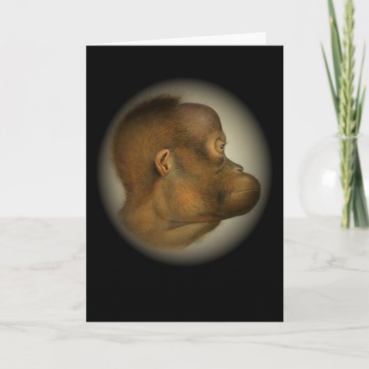 Orangutan Affengefecht Wild Regenwald Primat Apes Karte (Vorderseite)