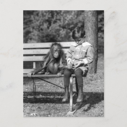 Orangutan and Boy - Nationalzoo Postkarte (Vorderseite)