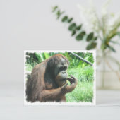 Orangutan Ape Postcard Postkarte (Stehend Vorderseite)